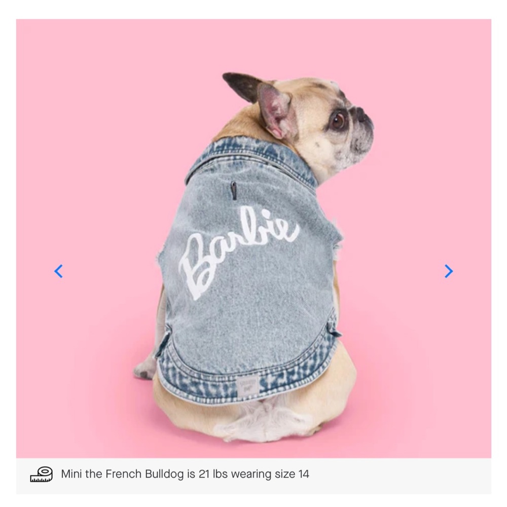BARBIE x CANADA POOCH DENIM VEST - Picture 2 of 10